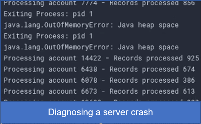 diagnose a server crash