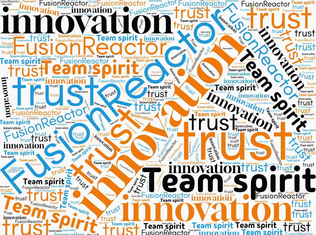 Trust, Team Spirit & Innovation